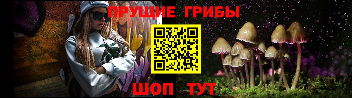 Псилоцибиновые грибы GOLDEN TEACHER Свободный