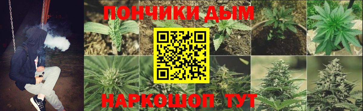 МАРИХУАНА сатива  Конопля семена  Свободный  Вход с VPN  Каннабис планчик 